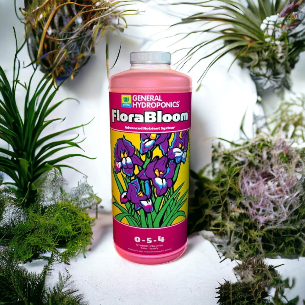 Flora Bloom