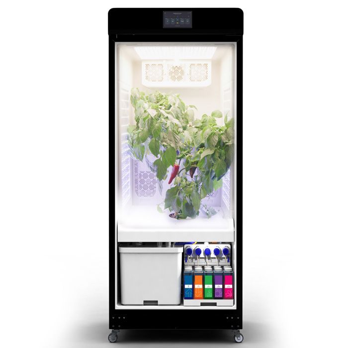 Magical GROW - Limited Time Price