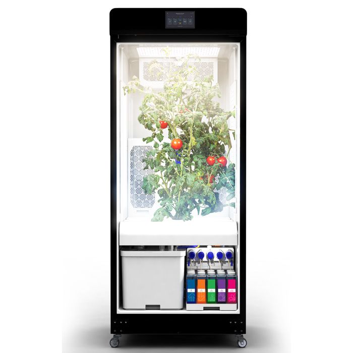 Magical GROW - Limited Time Price