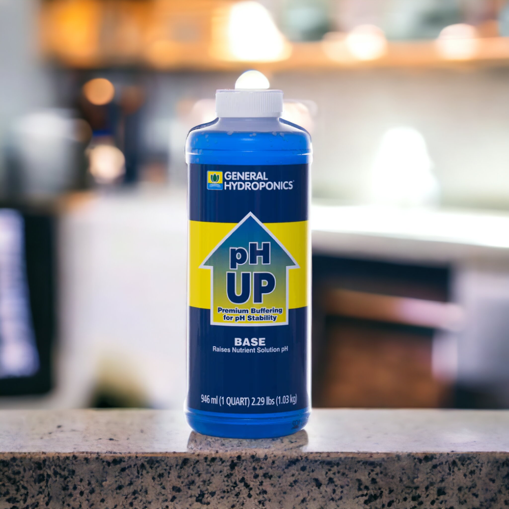 pH Up Liquid Solution