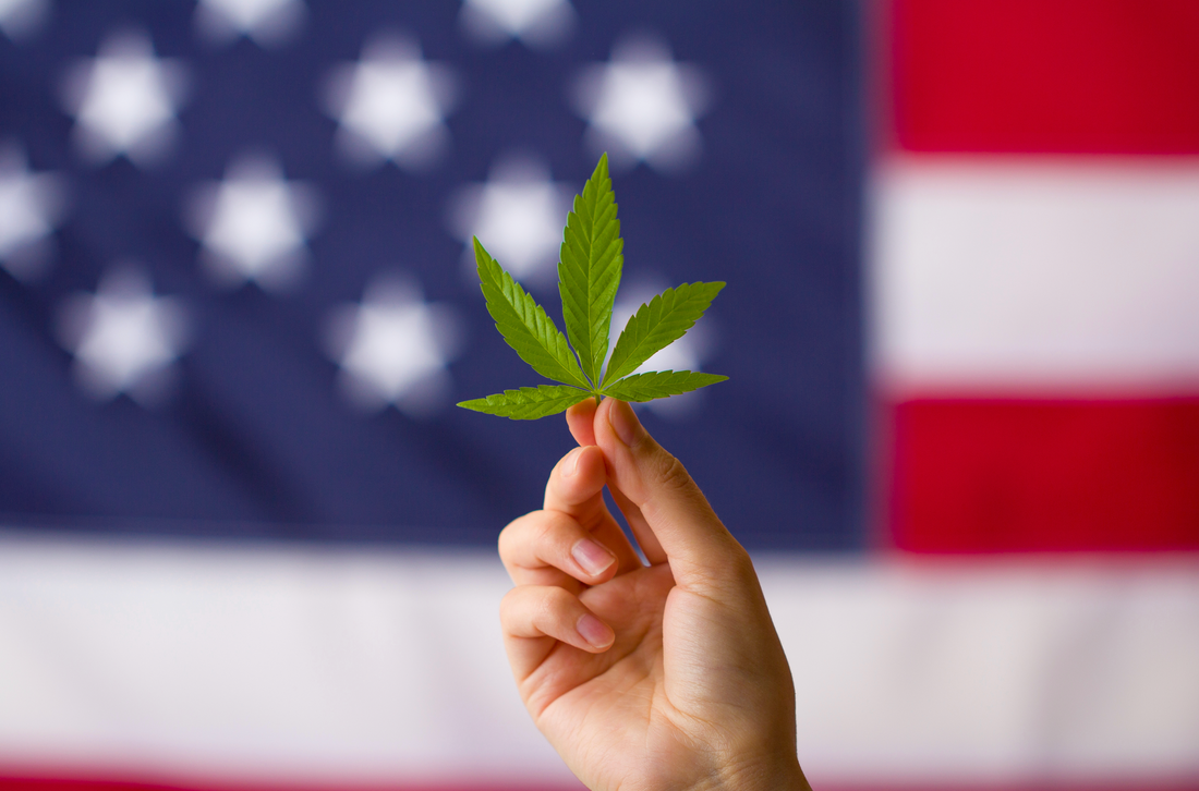 Is CBD Legal in Every State?