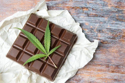 Canna Edibles 101: What Are They and How Do They Work