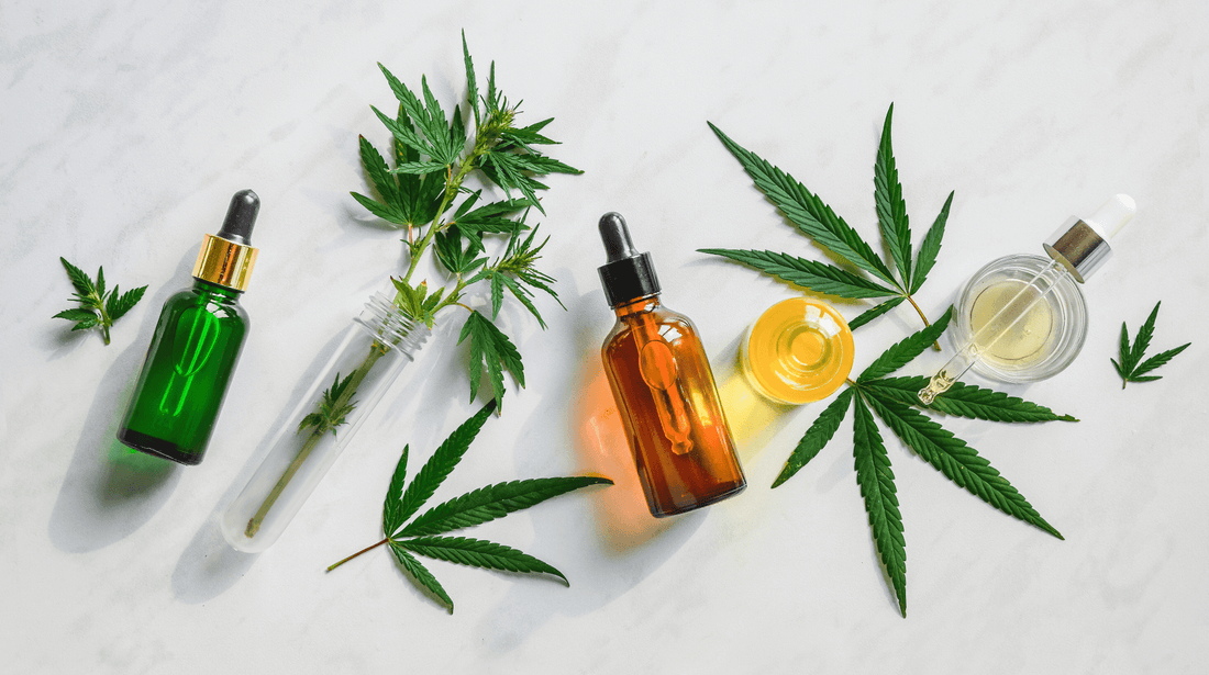Best Ways to Consume and Absorb CBD