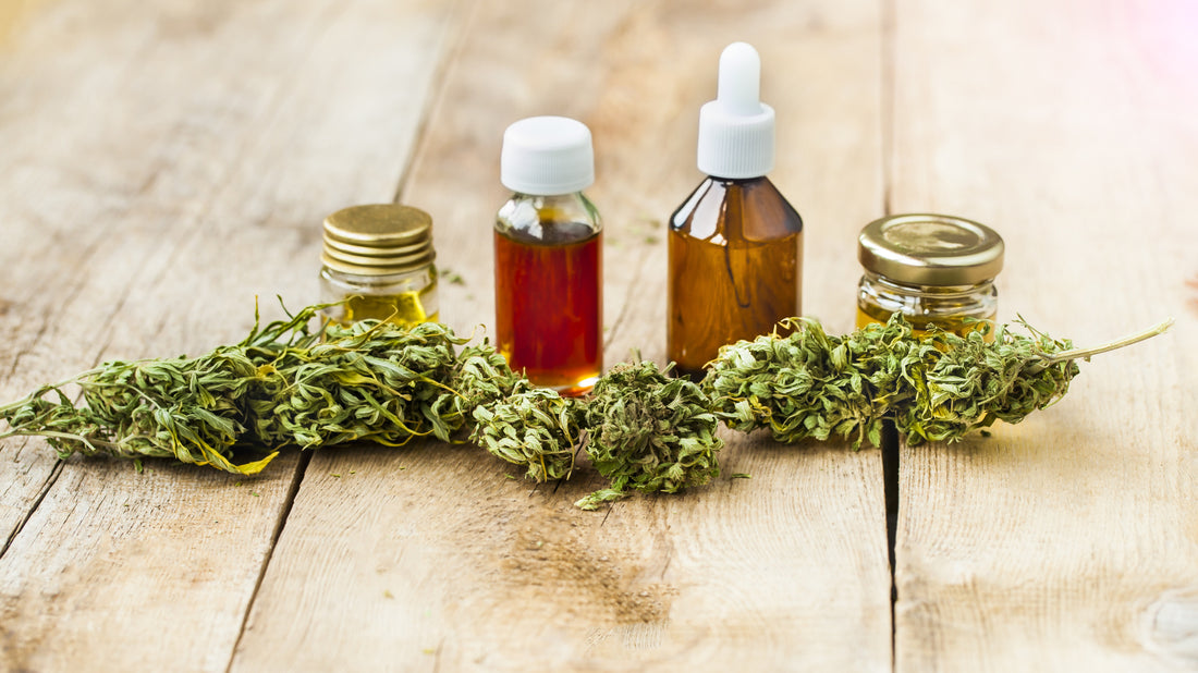 What Is the Difference Between CBD and THC?